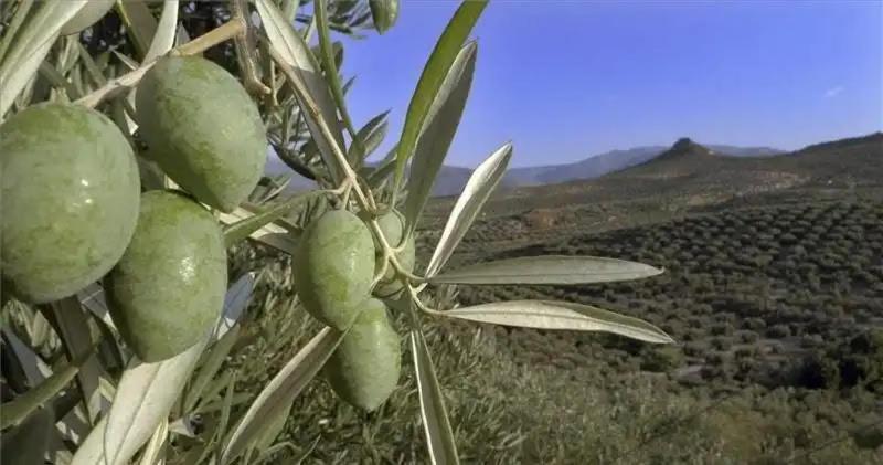 El Convento Vivienda Rural Jaen Andalucia Espana Carchelejo 外观 照片